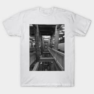 Inside the Ark, Williamstown, Kentucky T-Shirt